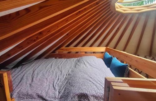 gmina Blizyn Otro | Jurty i namioty w Lesie KotfaLas Glamping Świętokrzyskie-SPA