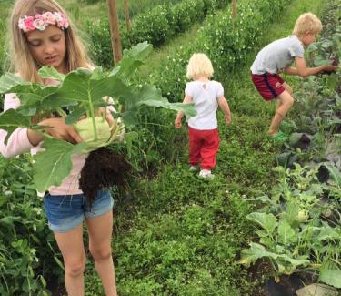 Orland Casa | Kårstua - Austrått Agroturisme