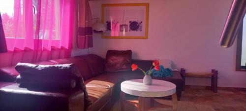 Bekescsaba Apartamento | Két Puli Vendégház