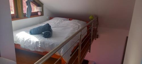 Bekescsaba Apartamento | Két Puli Vendégház
