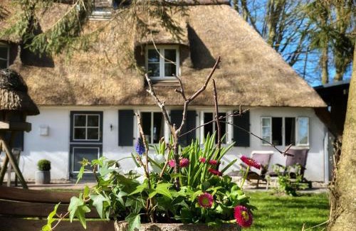 Rabenkirchen-Faulueck Casa | Küstenwäldchen