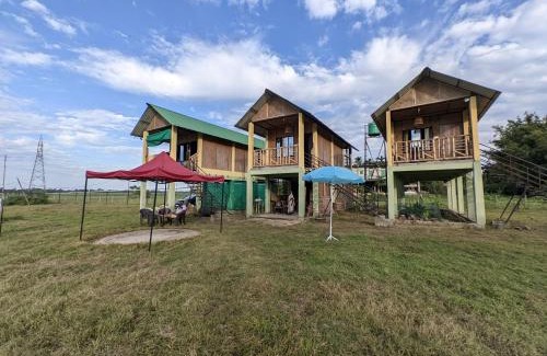 Golaghat Otro | Kāziranga Nature Stay