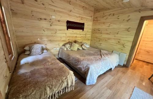 Pucon Cabina | K m 6 River Lodge