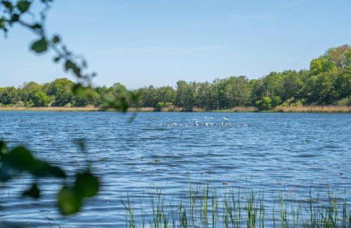 Kreuzkamp Apartamento | K357 - Ferienwohnung - Moin Moin - Pönitz - Scharbeutz