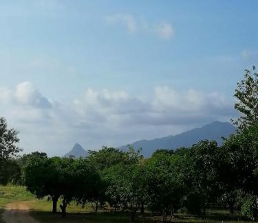 Dambulla Cabina | Kaaya Breeze
