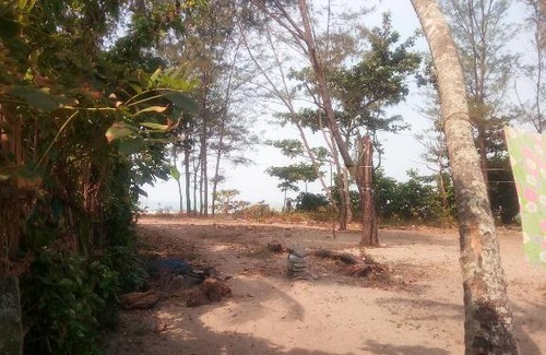 Alappuzha Hotel | Kadalamma Beach Homestay