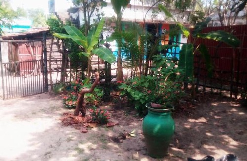 Alappuzha Hotel | Kadalamma Beach Homestay