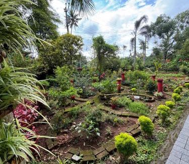 Alwaye Casa | Kadavath Homestay