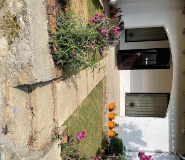 Shyamkhet Casa | KAFAL TREE Home Stay - PET FRIENDLY
