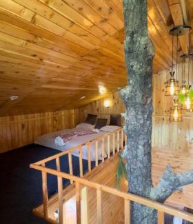 Jibhi Chalet De Esquí | Kakapo Nest a Big Chill Treehouse