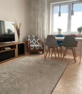 Suwalki Apartamento | Kaktusik