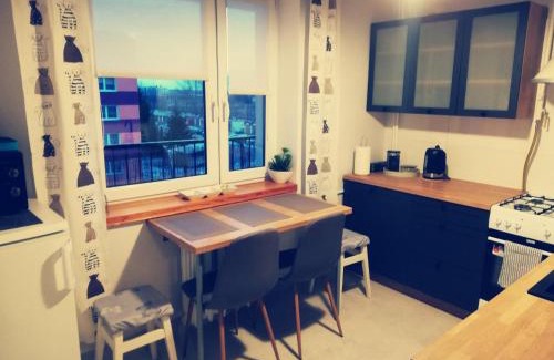 Suwalki Apartamento | Kaktusik