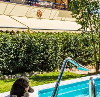 Karavomylos Apartamento | Kalypso Studios & Apartments