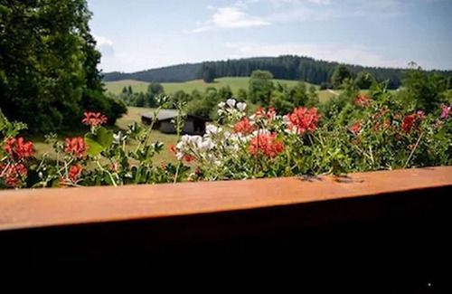 Titisee-Neustadt Apartamento | Kamille - Holiday apartment with balcony, Gästehaus Josenmühle