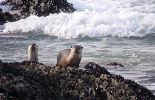 Nature's Valley Apartamento | Kamma-Otter