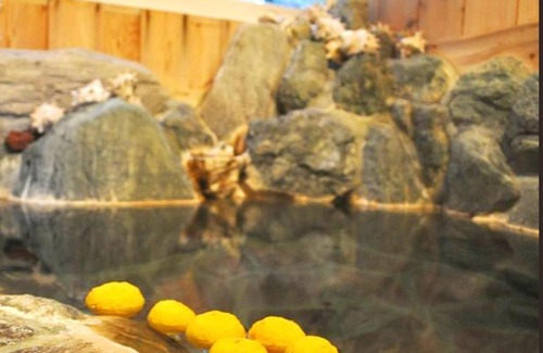 Higashiizu Hotel | Kamo-gun - Hotel / Vacation STAY 41221