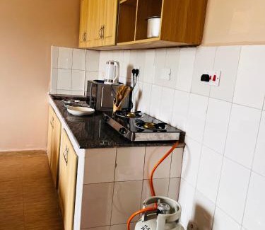 Kampala Apartamento | Kampala Urban Tranquility