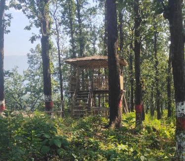 Haridwar Otro | Kanaar Jungle View Resort