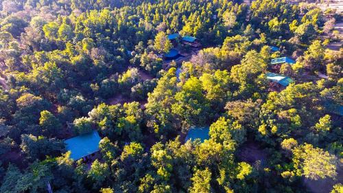 Mukki Complejo | Kanha Jungle Camp