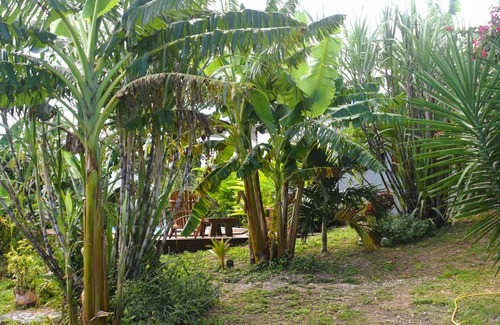 Anse-Bertrand Casa | kann Zananas
