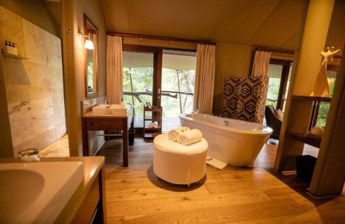 Thorny Bush Game Reserve Otro | Kapama Buffalo Camp