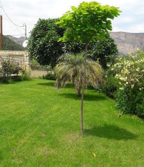 Leonidio Apartamento | Karantonis House
