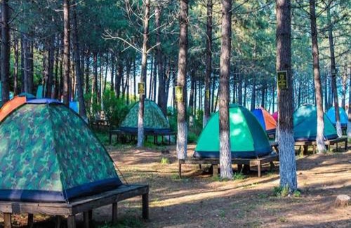 Cankaya Otro | Karavan kiralama&konaklama