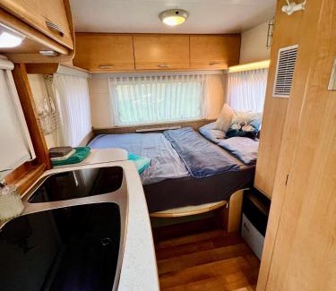 Pacejov Cabina | Karavan v březovém háječku