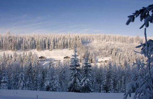 Nilsia Chalet De Esquí | Karkutahko Villas 1A - Spacious 3BR Villa in Tahko with Private Sauna