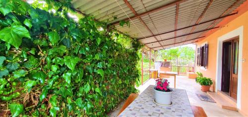 Sukosan Casa | Karla's holiday home