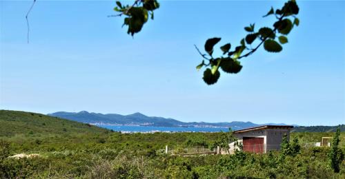 Sukosan Casa | Karla's holiday home