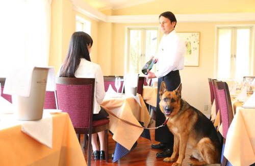Kitasaku-gun Hotel | Karuizawa Hotel Soyokaze
