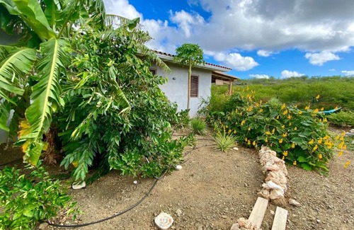 Sabadeco Apartamento | Kas Tortuga