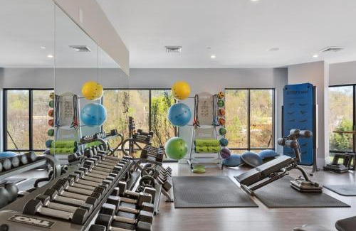 Charlotte Apartamento | Kasa Dilworth Charlotte