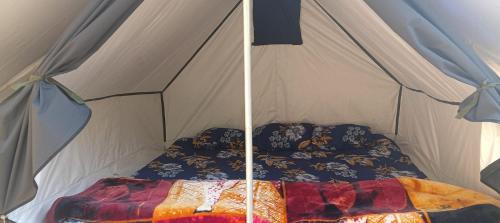 Almora Cabina | Kasar jungle camp