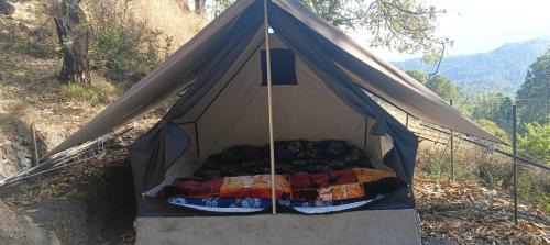 Almora Cabina | Kasar jungle camp