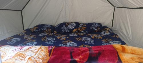 Almora Cabina | Kasar jungle camp
