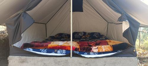 Almora Cabina | Kasar jungle camp