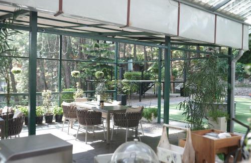 Kasauli Complejo | Kasauli Hills Resort