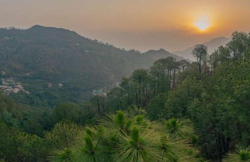 Dharampur Casa | Kasauli villa