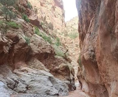 Bou Tharar Casa | KASBAH DES MONTAGNS maisons d'hôtes la vallée des roses
