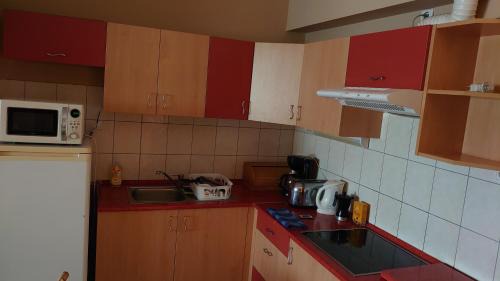 Cserkeszolo Apartamento | Kastély apartman