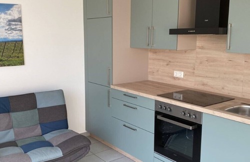 Dierbach Apartamento | Kästle vacation apartment on the southern wine route