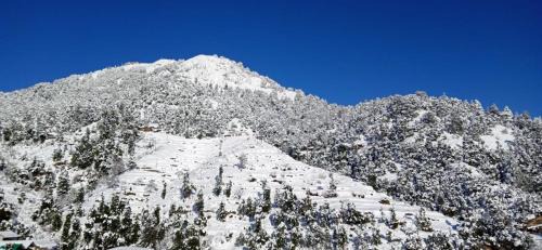 Kanatal Complejo | Kastura Cottages - Kanatal