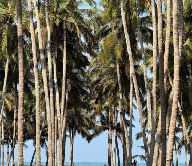 Chavakkad Casa | Katadi beach homestay