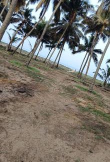 Chavakkad Casa | Katadi beach homestay