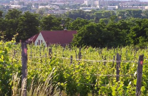 Znojmo Casa | Kateřinský sklípek