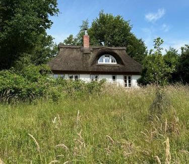 Bielenberg Casa | Kate unter Reet im Grünen