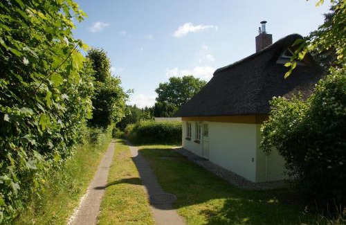 Bielenberg Casa | Kate unter Reet im Grünen
