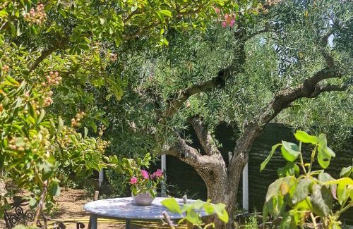Thermaikos Casa | Katerina's Countryside and Sea House